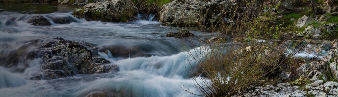 Parc du Haut-Languedoc