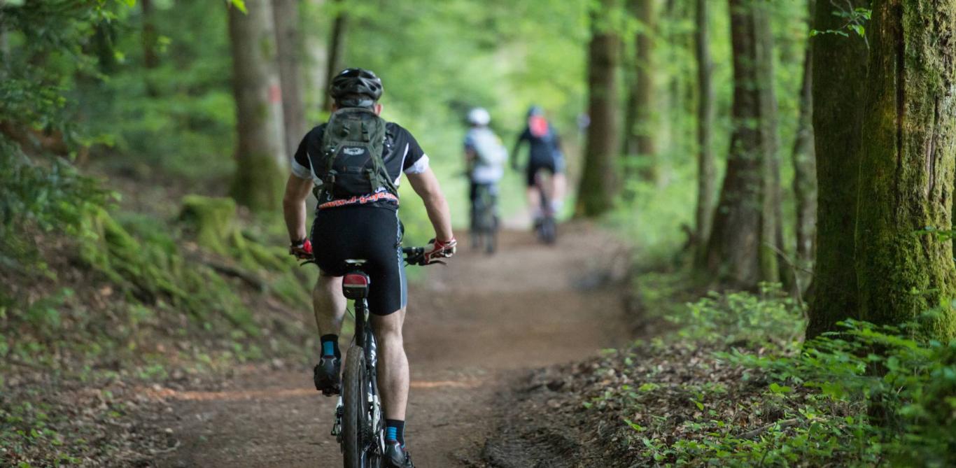 VTT cœur forêt